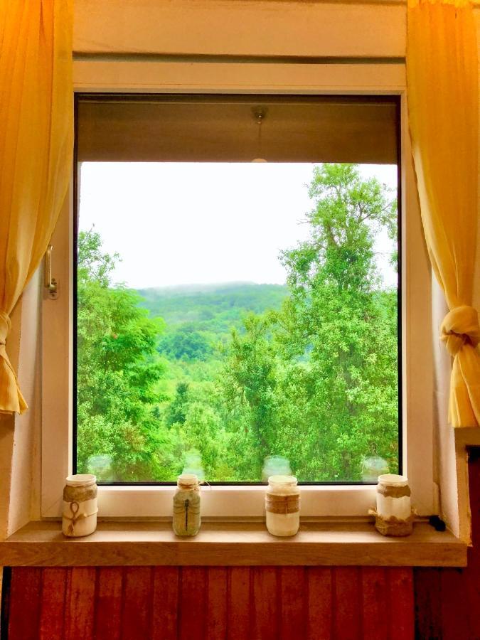 Guesthouse D&D Licko Petrovo Selo Ngoại thất bức ảnh