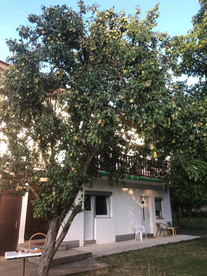 Guesthouse D&D Licko Petrovo Selo Ngoại thất bức ảnh