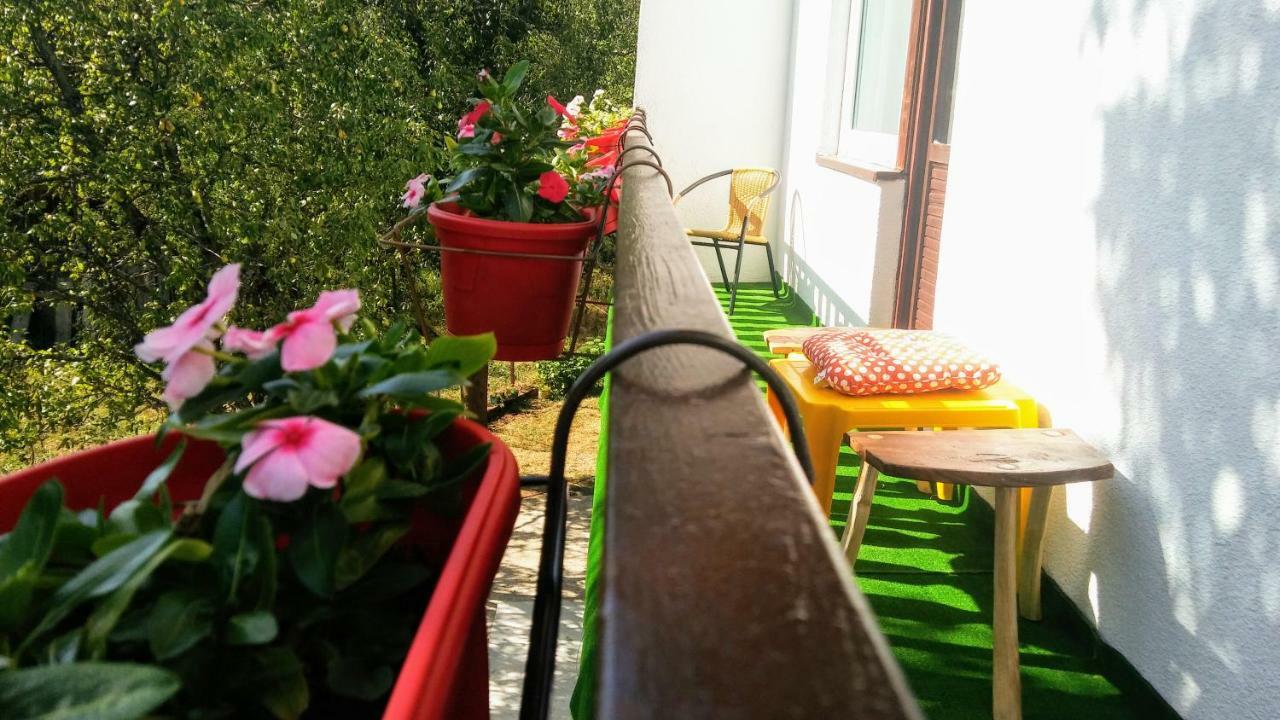 Guesthouse D&D Licko Petrovo Selo Ngoại thất bức ảnh